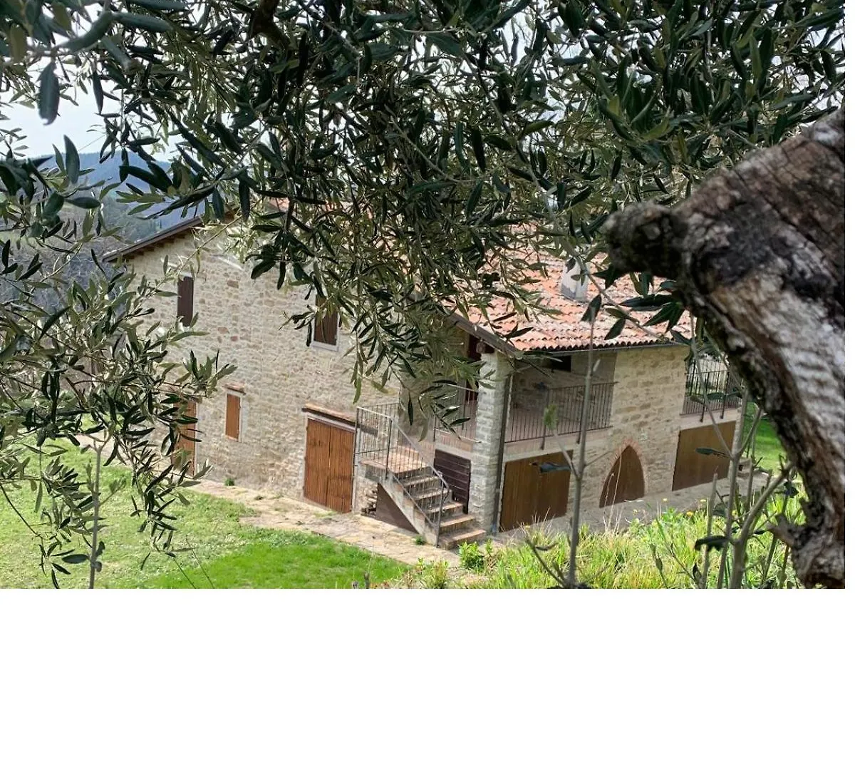 Podere Quartarola Modigliana Gospodarstwo agroturystyczne