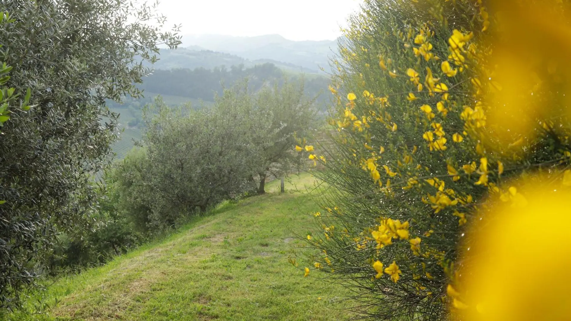 Podere Quartarola Modigliana 0*,  Włochy